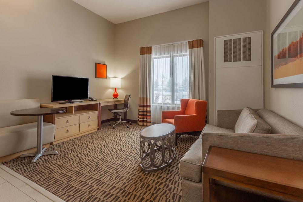 Suite, 1 Bedroom photo 3
