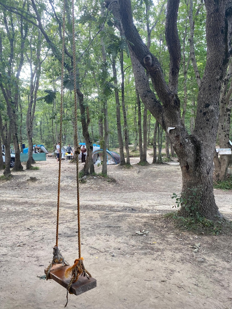 Basic Tent, Garden View photo 3
