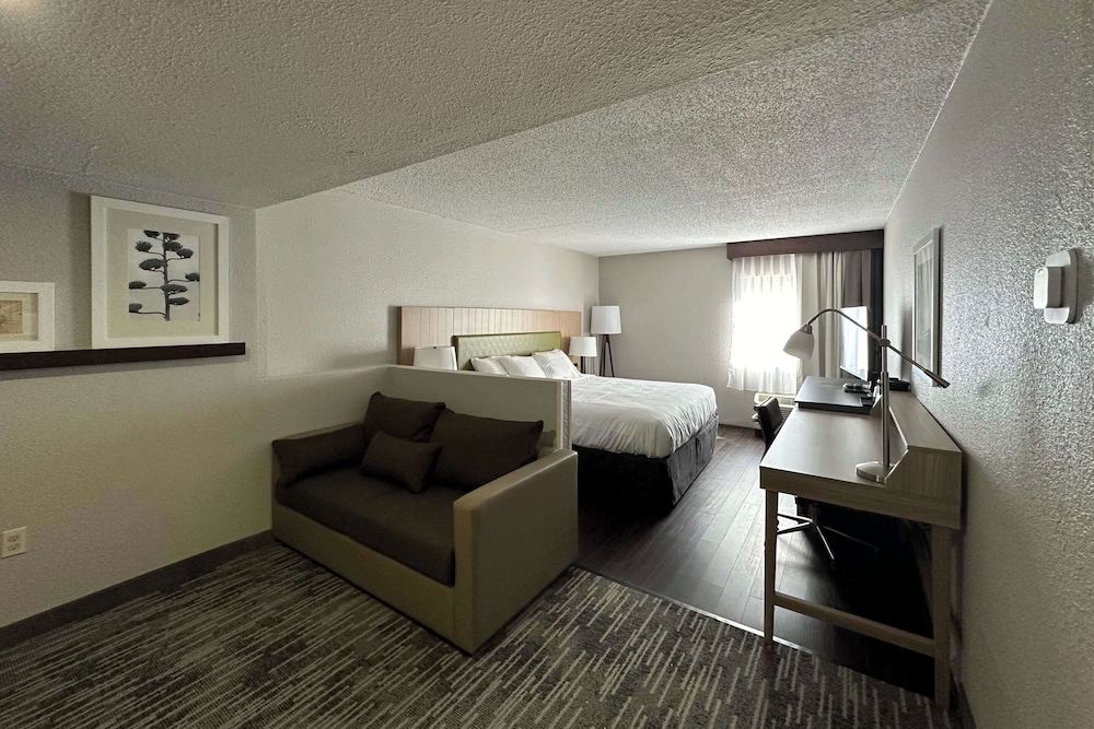 Suite, 1 King Bed, Non Smoking photo 1