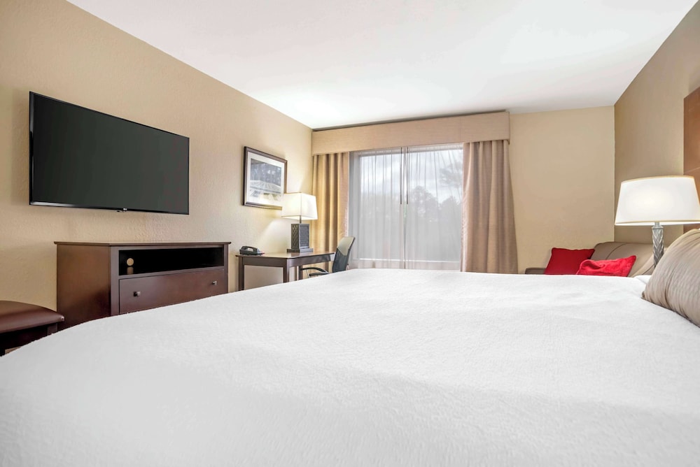 Suite, 1 King Bed, Non Smoking, Refrigerator & Microwave (with Sofabed) photo 3