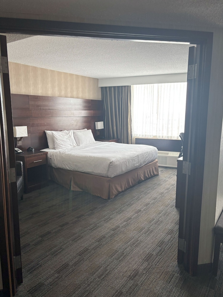 Single Room, 1 King Bed, Non Smoking, City View
