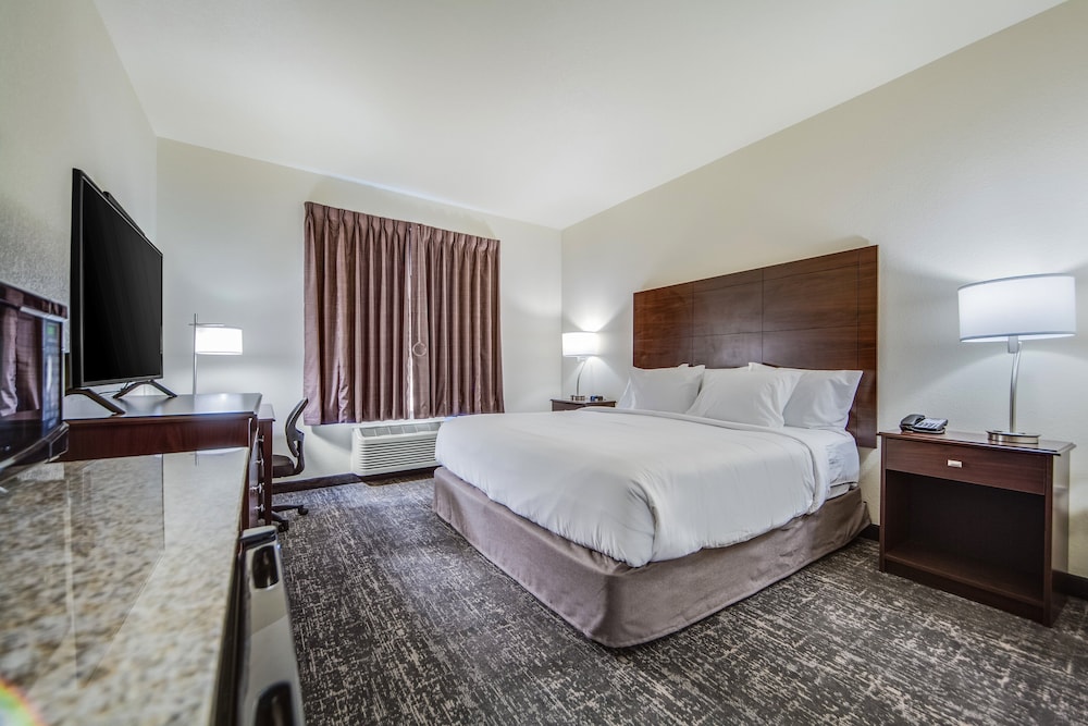 Studio Suite, 1 King Bed with Sofa bed, Accessible, Non Smoking (Audible/Visual) - Photo 9
