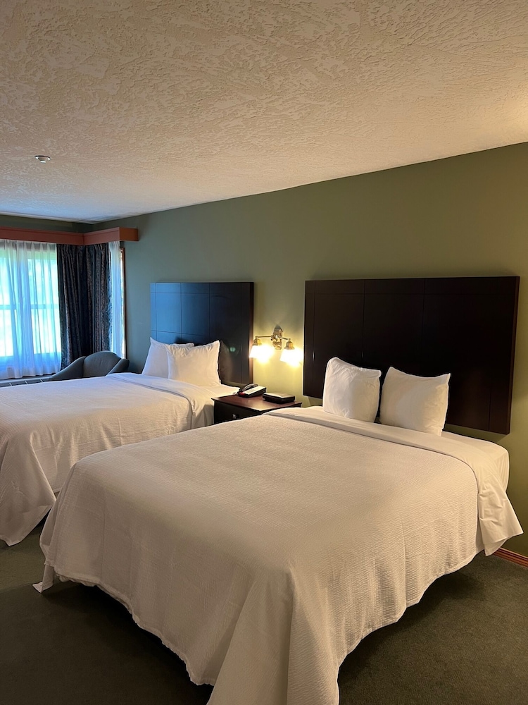 Club Room, 2 Queen Beds photo 1