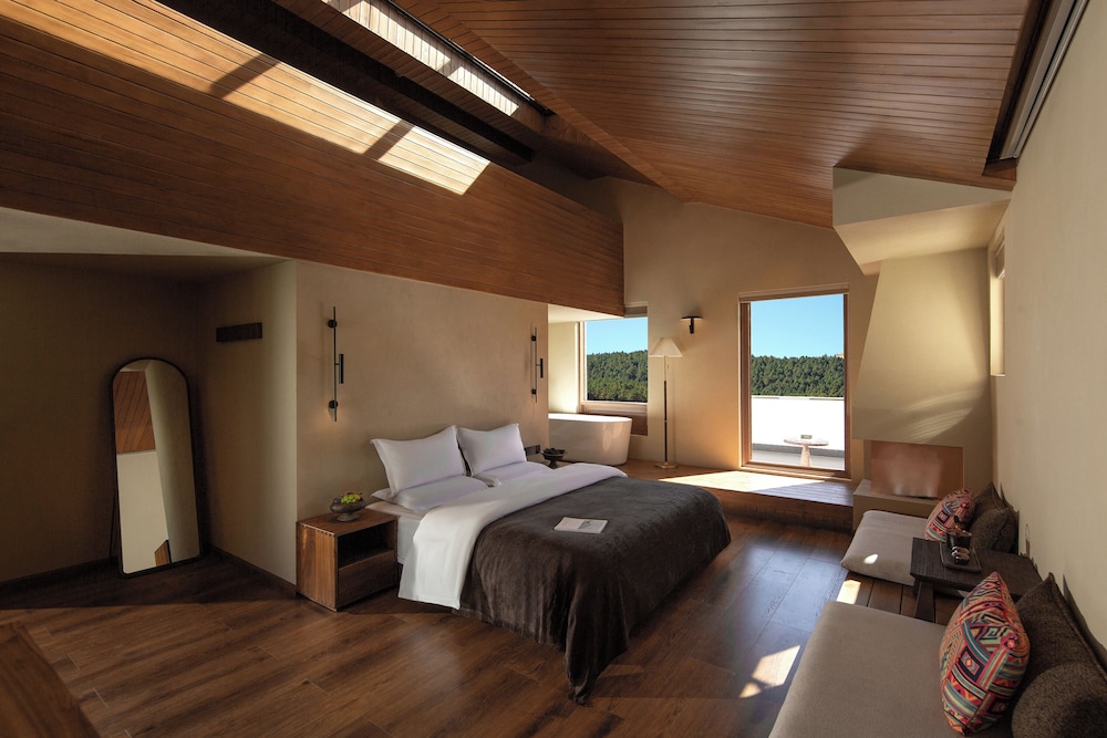 Luxury Suite