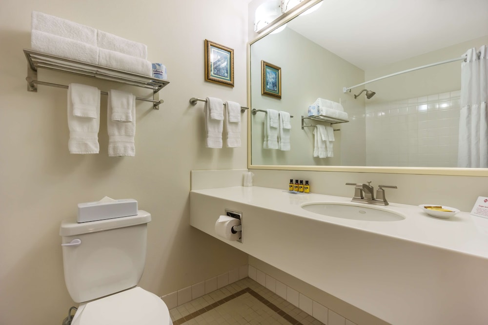 Economy Room, 1 Queen Bed, Non Smoking (Small Room) - Photo 6