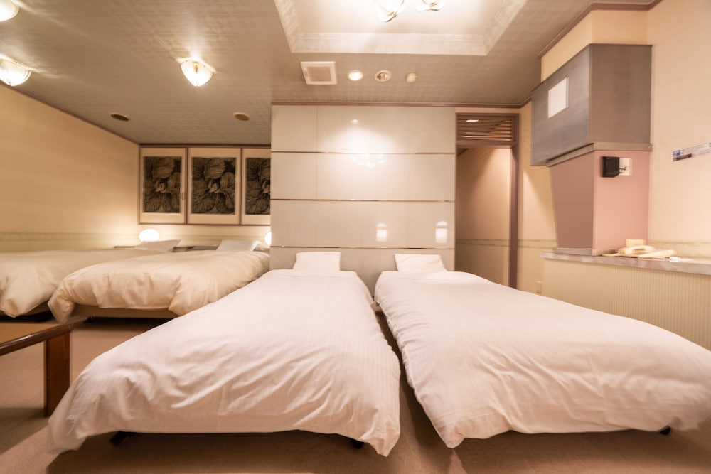 Large Twin Room, Smoking photo 2