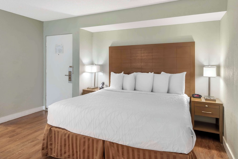 Standard Room, 1 King Bed, Accessible, Refrigerator & Microwave - Photo 2