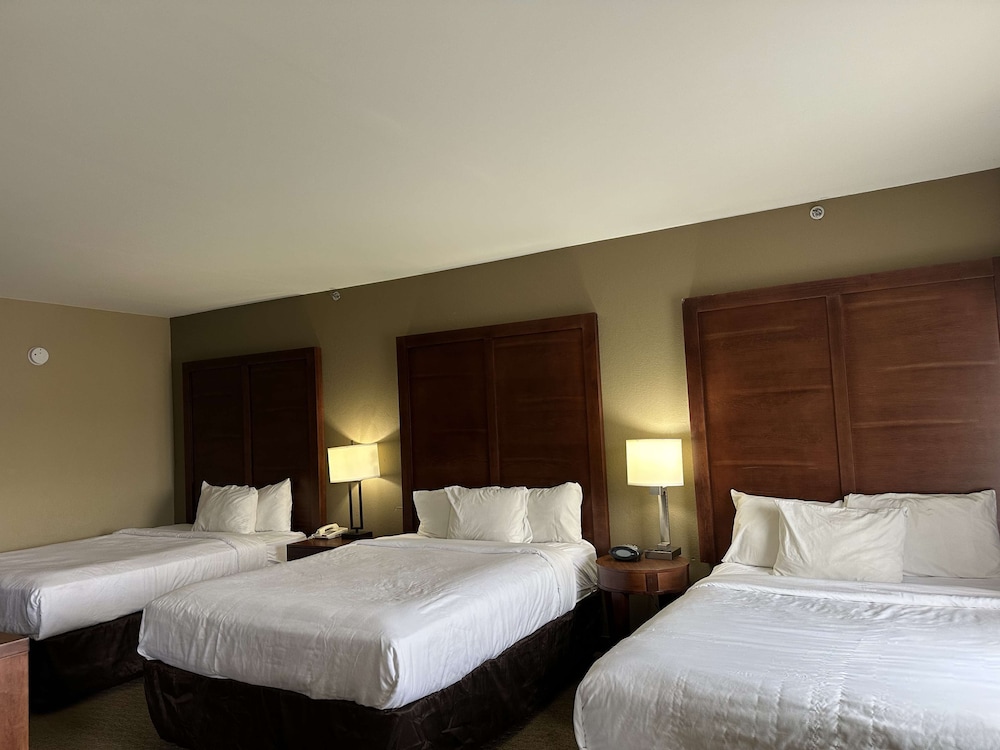 Suite, Multiple Beds, Non Smoking, Refrigerator & Microwave (With Sofabed) photo 1