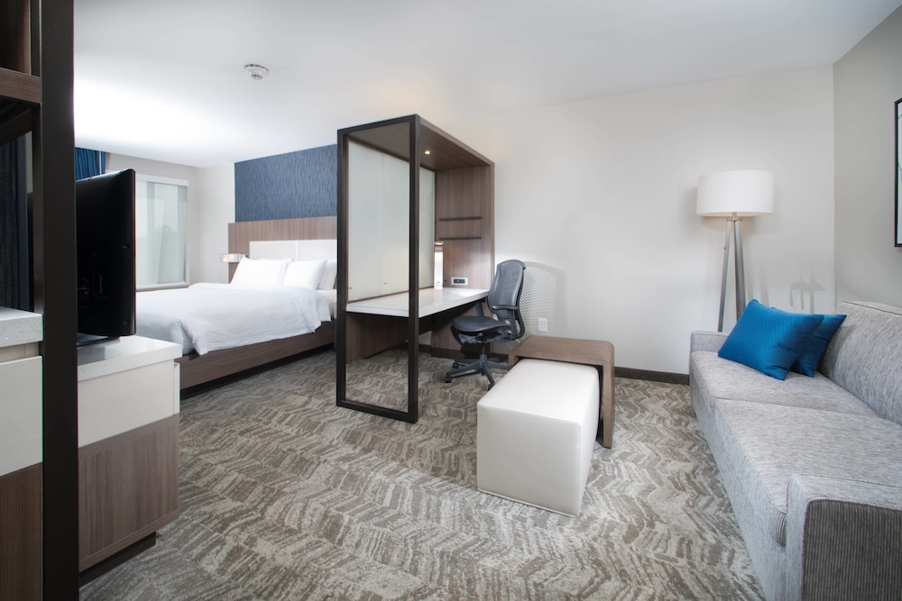 Suite, 1 Bedroom photo 3