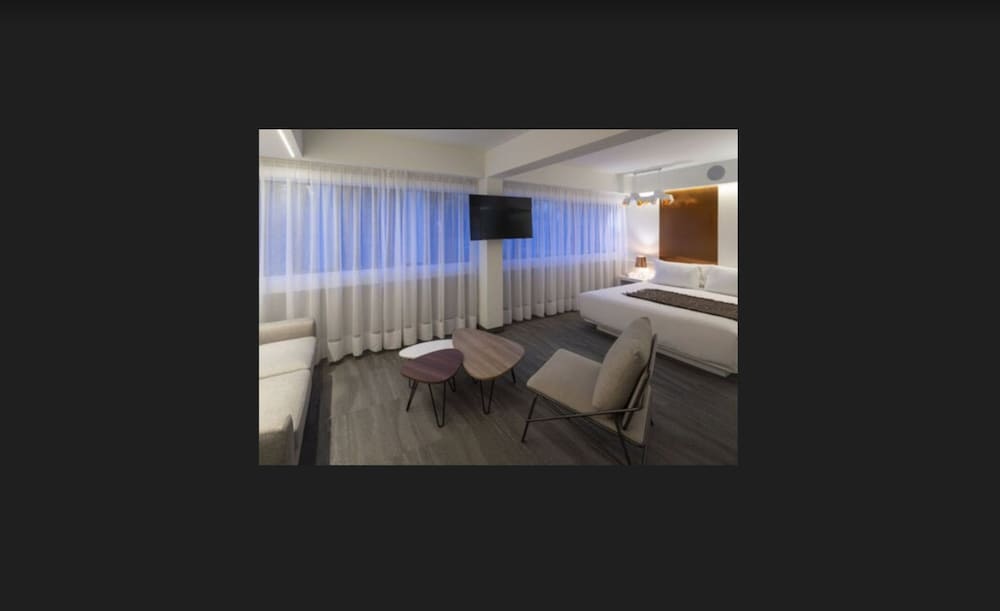 Suite - Photo 4