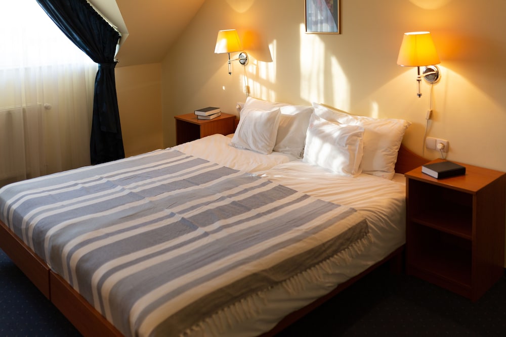 Superior Double or Twin Room photo 3