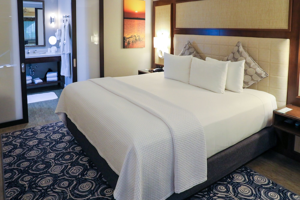 Junior Spa King Suite photo 3
