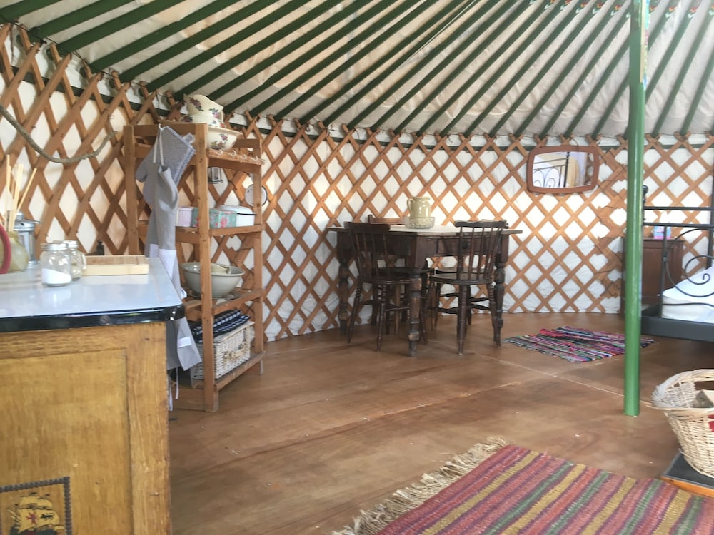 Hayfield Yurt photo 2