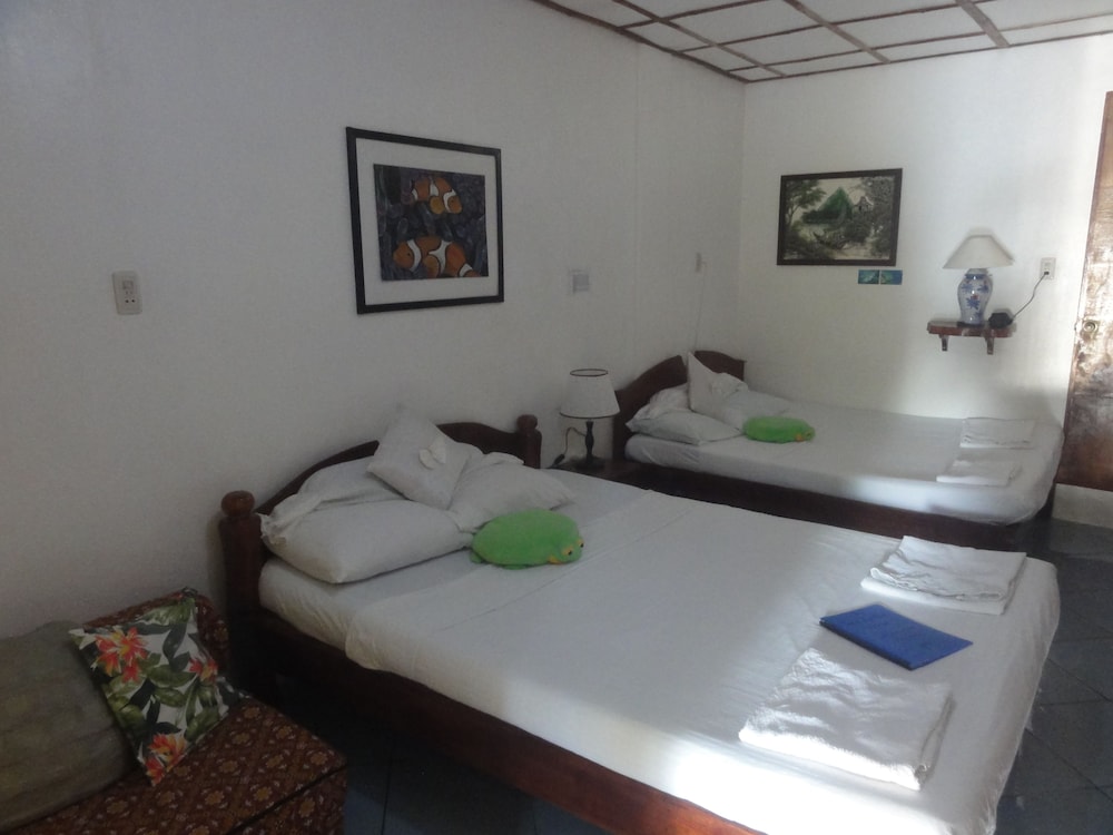 Sea Turtle Watch Room photo 3