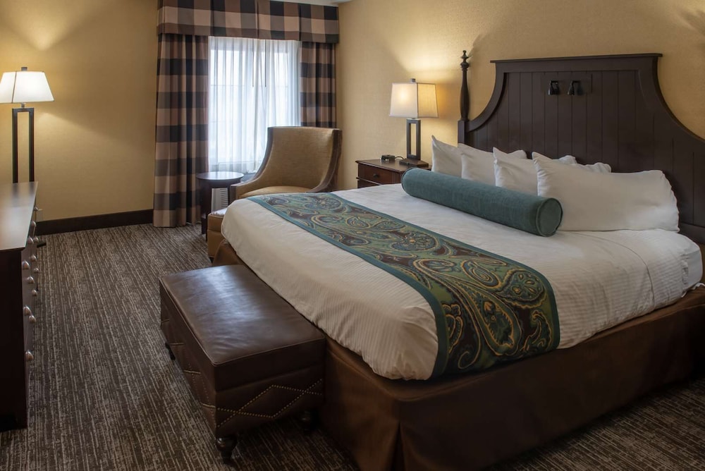 Business Suite, 1 King Bed with Sofa bed photo 1