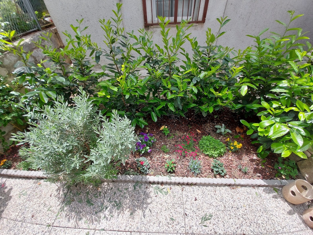 Double Room, Garden View (1) photo 3