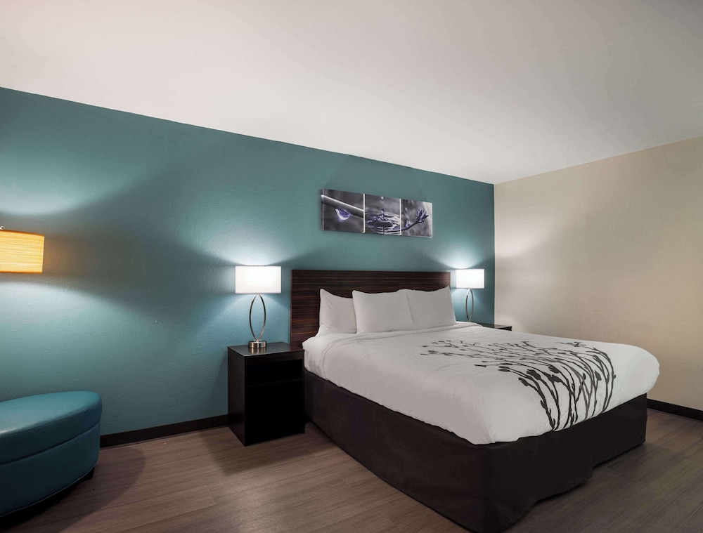 Standard Room, 1 King Bed, Non Smoking - Photo 3
