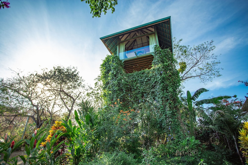 Panoramic Tree House, Ocean View (Garuda Treehouse) photo 3
