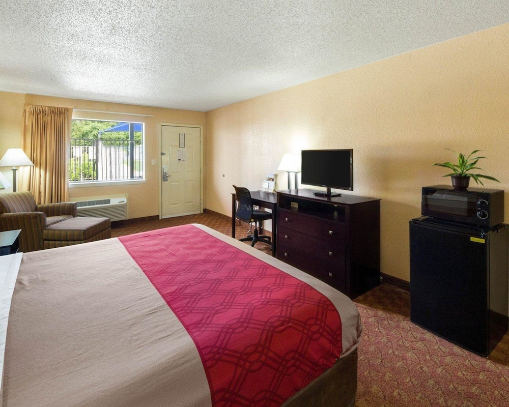 Standard Room, 1 King Bed, Non Smoking - Photo 8