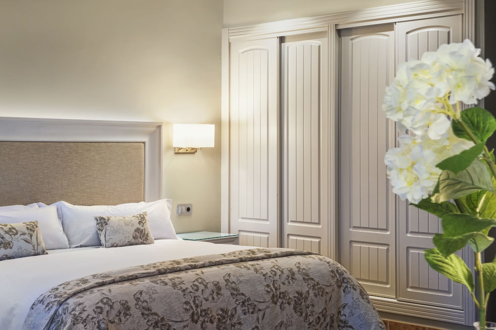 Habitación Clásica (Acceso a Spa)