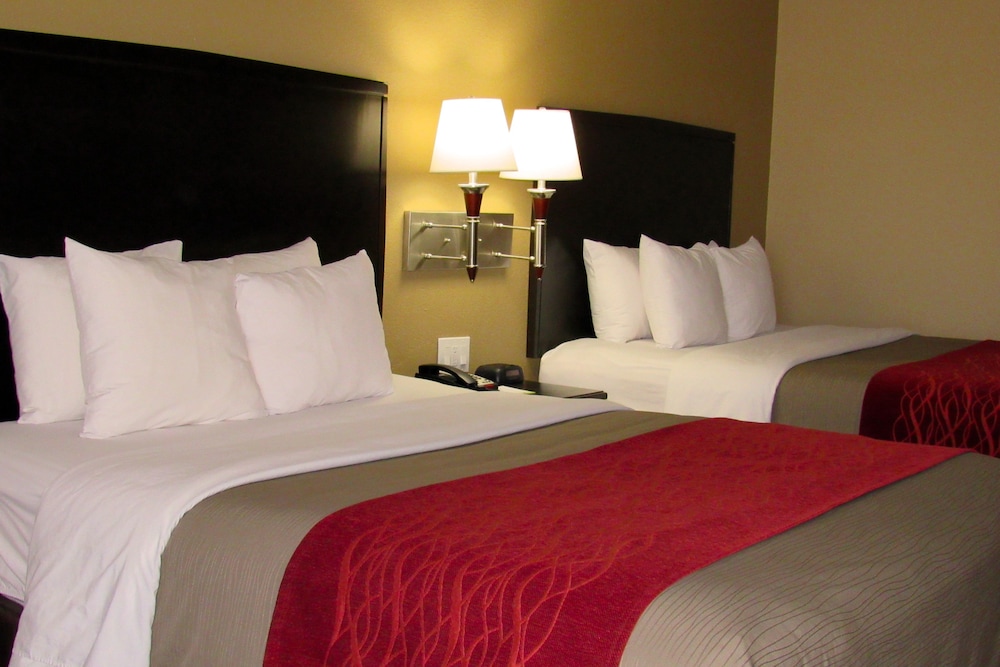 Standard Room, Multiple Beds, Non Smoking (Lower Floor) photo 3