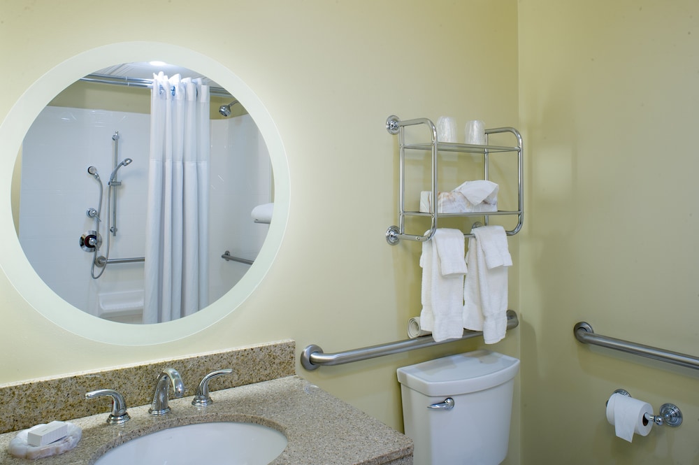 Standard Room, 1 King Bed, Accessible, Non Smoking (Pet Friendly) - Photo 4