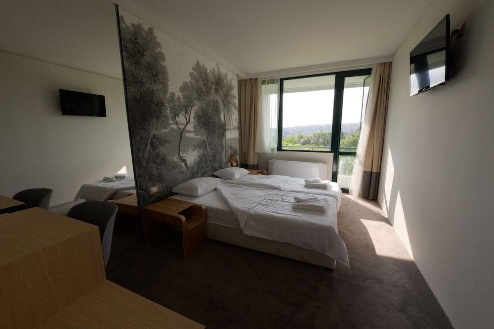 Standard Double or Twin Room photo 3