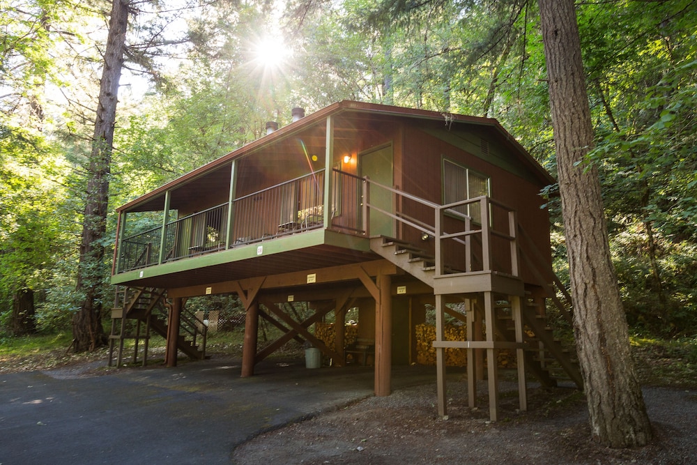 Deluxe Cottage photo 3
