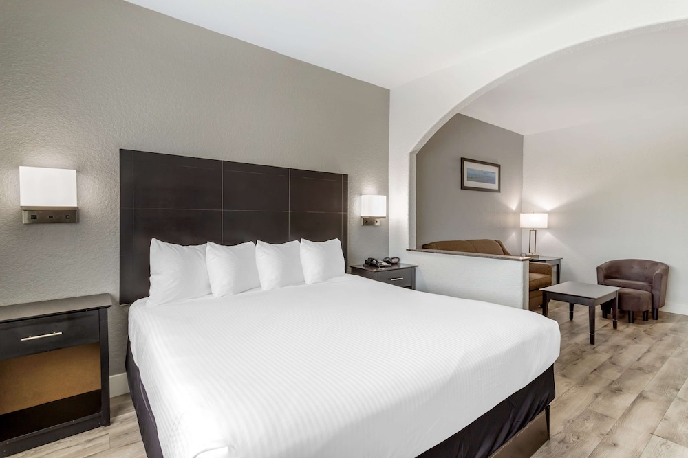 Suite, 1 King Bed, Non Smoking, Refrigerator & Microwave (with Sofabed) - Photo 1