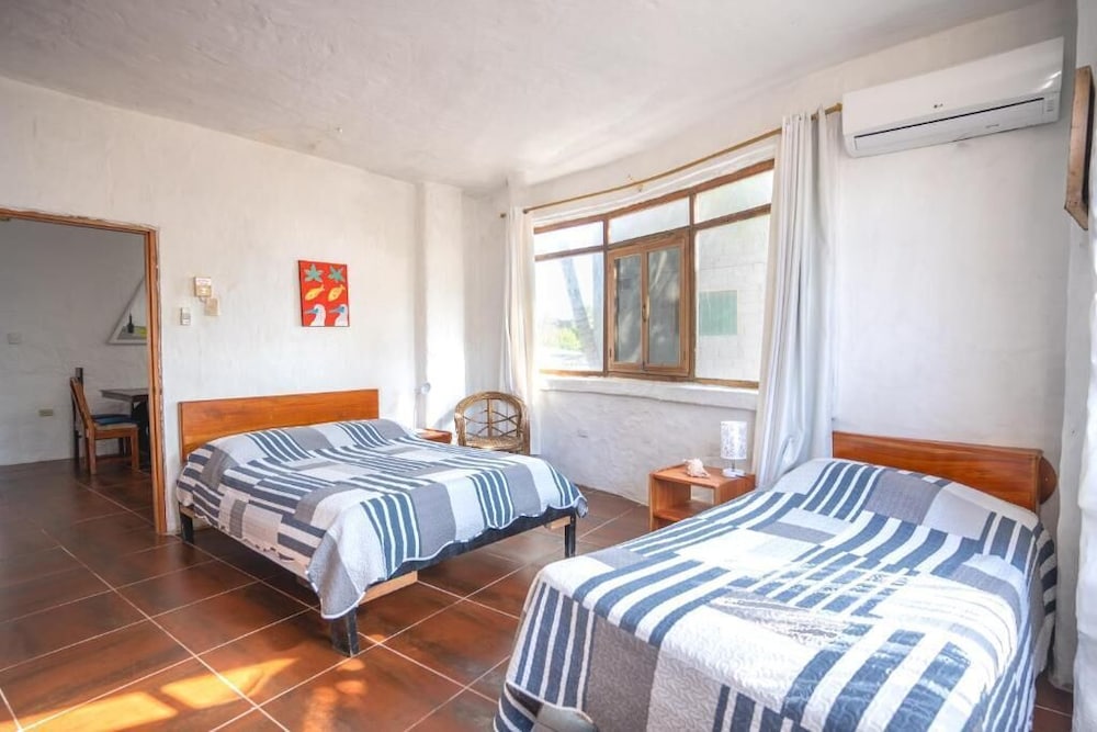 Basic Apartment photo 1