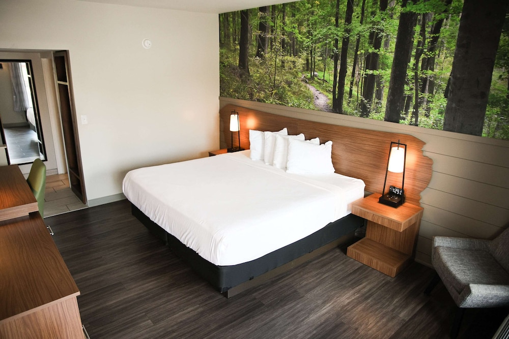 Standard Room, 1 King Bed, Accessible, Refrigerator & Microwave (Theme Room) photo 3