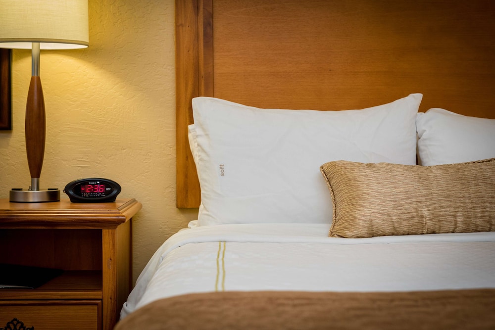 Suite, 1 King Bed, Non Smoking, Kitchenette (with Sofabed) photo 2
