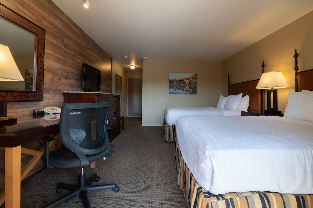 Dog Friendly Queen Queen with Riverview