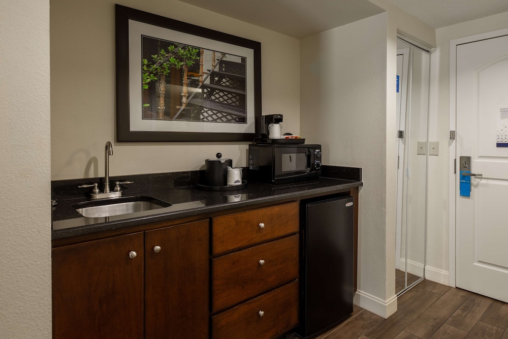 Studio, 1 King Bed, Refrigerator & Microwave (Shower) - Photo 6