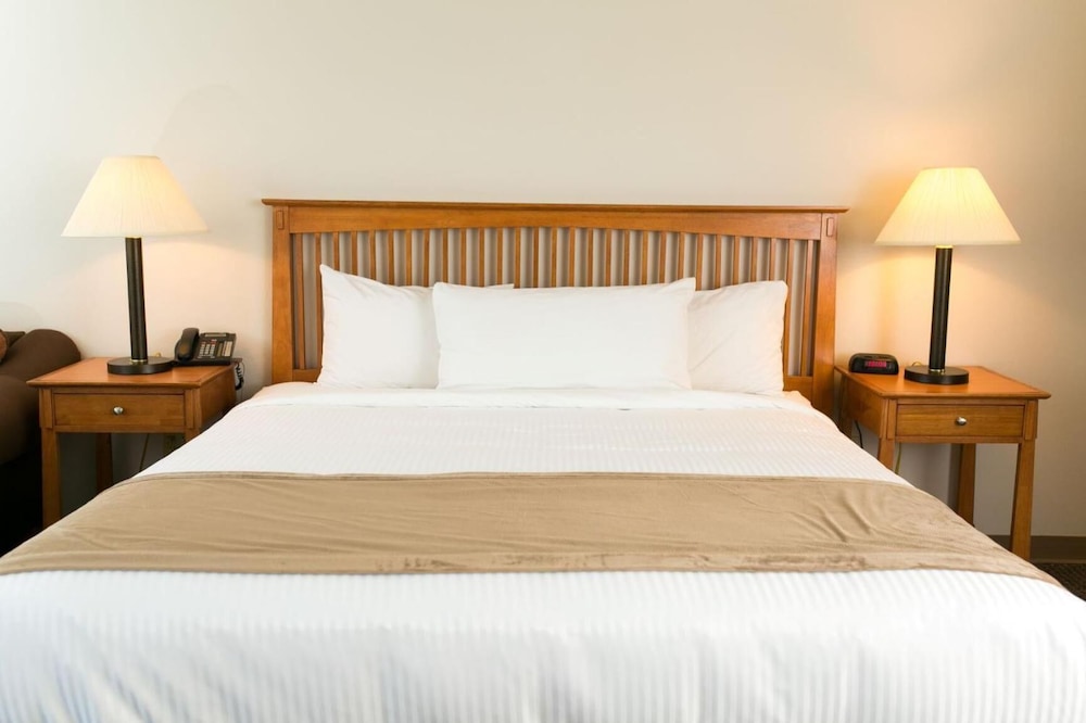 Standard Room, 1 King Bed, Accessible