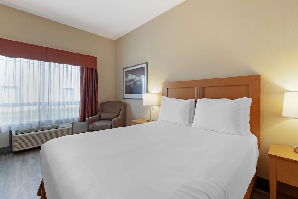 Standard Room, 1 Queen Bed, Accessible, Refrigerator - Photo 3