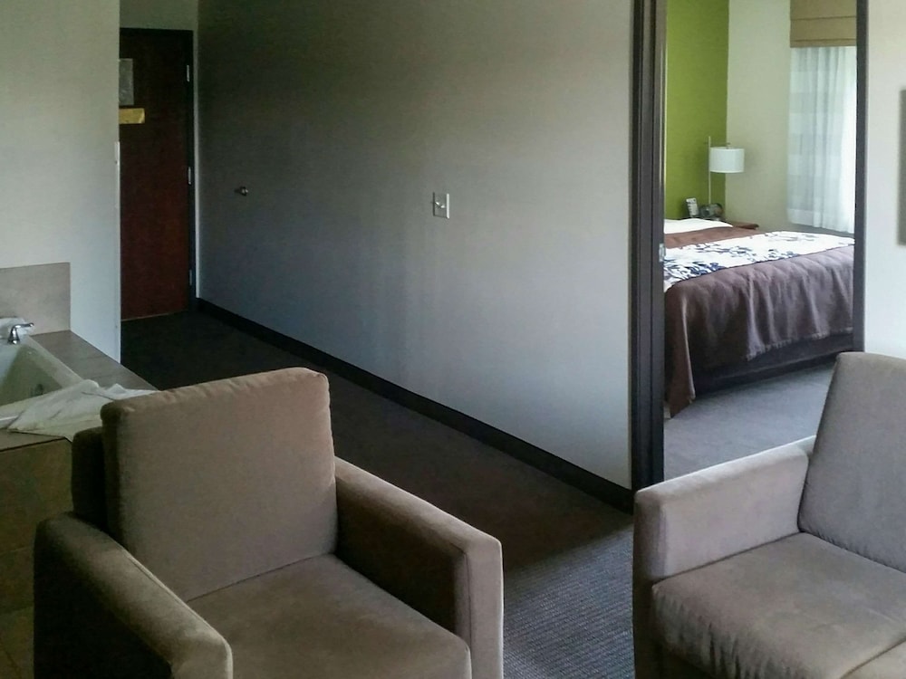 Suite, 1 King Bed with Sofa bed, Non Smoking - Photo 7