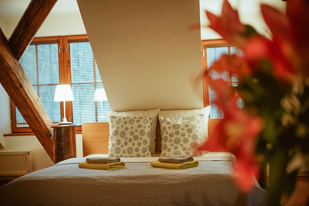 Comfort Suite, 1 Bedroom, River View photo 3