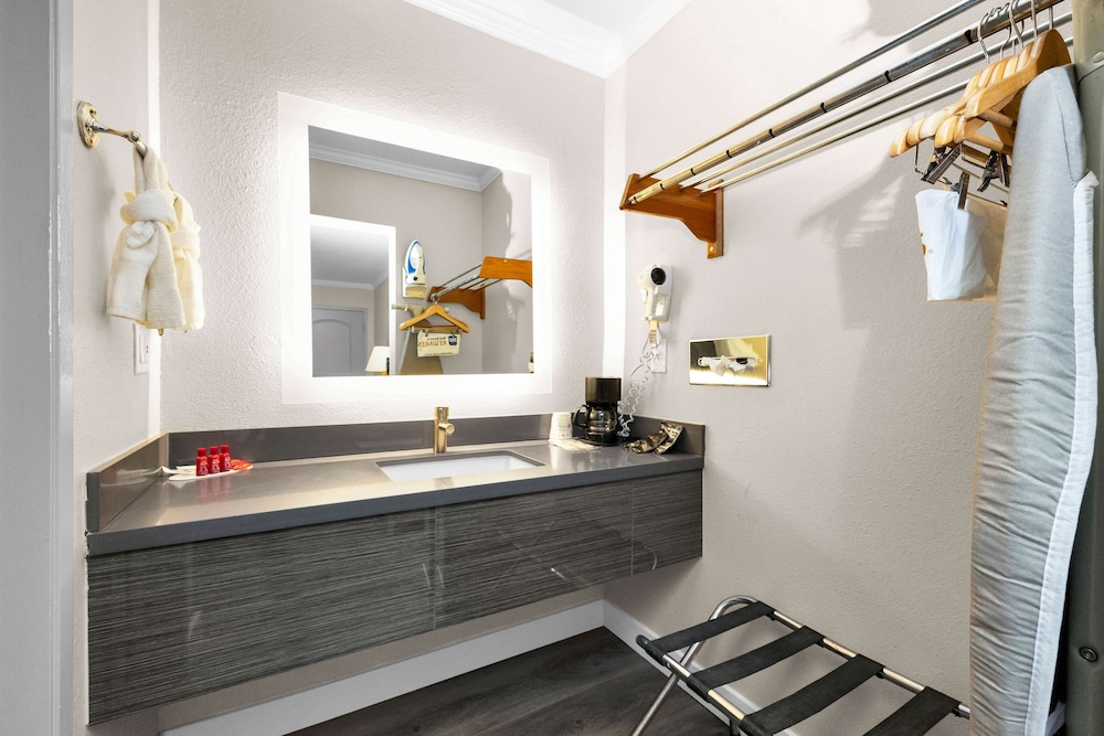Standard Room, 1 King Bed, Non Smoking, Refrigerator & Microwave - Photo 8