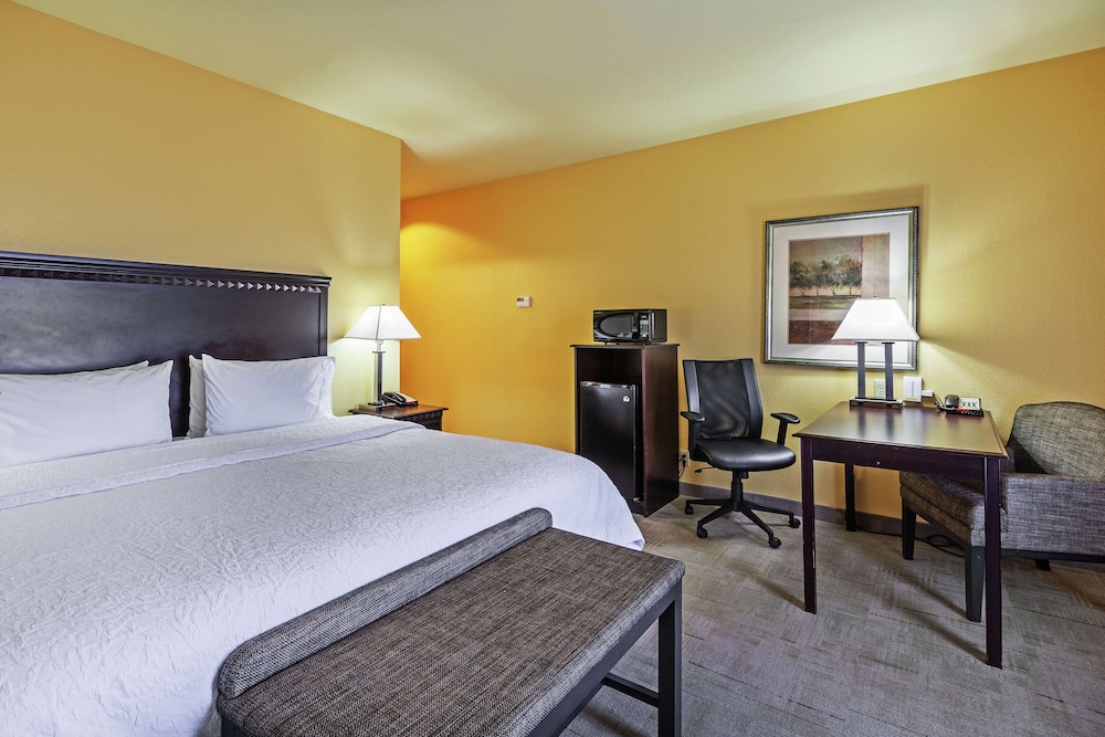 Room, 1 King Bed photo 1