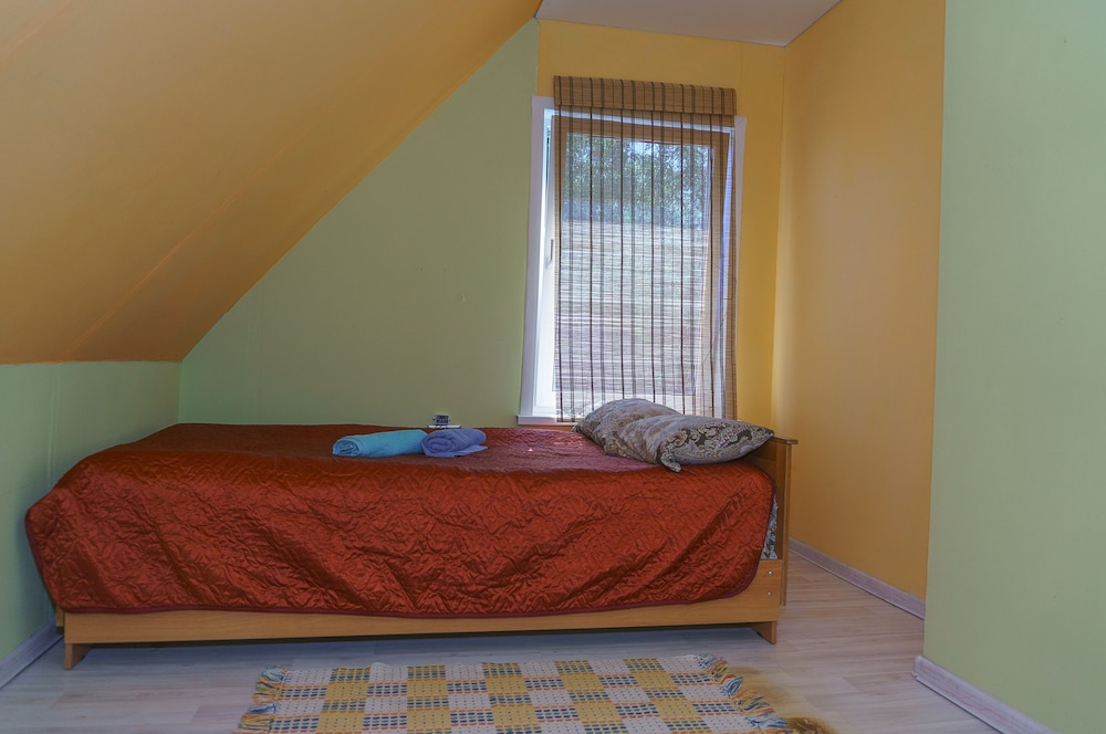 Single Room photo 1
