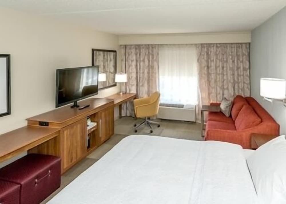 Room, 1 King Bed with Sofa bed, Accessible, Bathtub photo 1