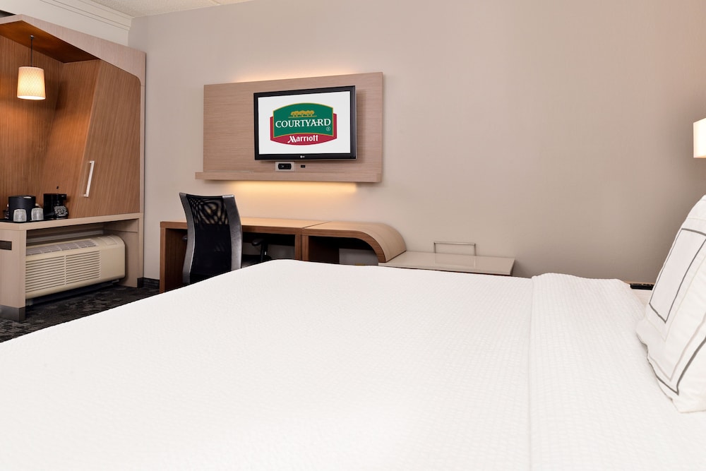 Suite, 1 Bedroom (Mobility/Hearing Access, Transf Shwr) photo 3