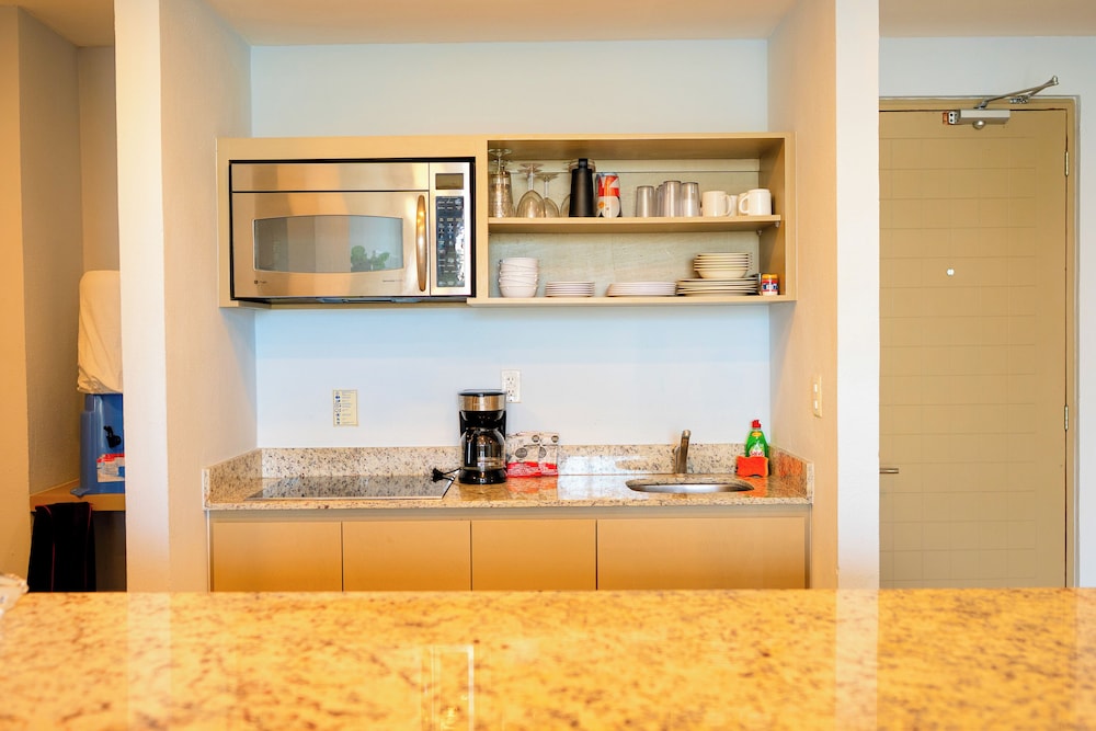 Suite, 1 Bedroom - Photo 4