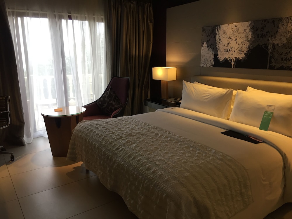 Room, 1 King Bed (Balcony) photo 3