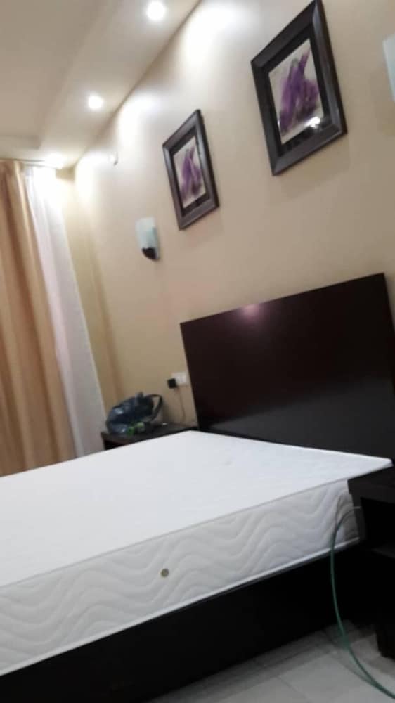 Deluxe Double Room, 1 Double Bed photo 1