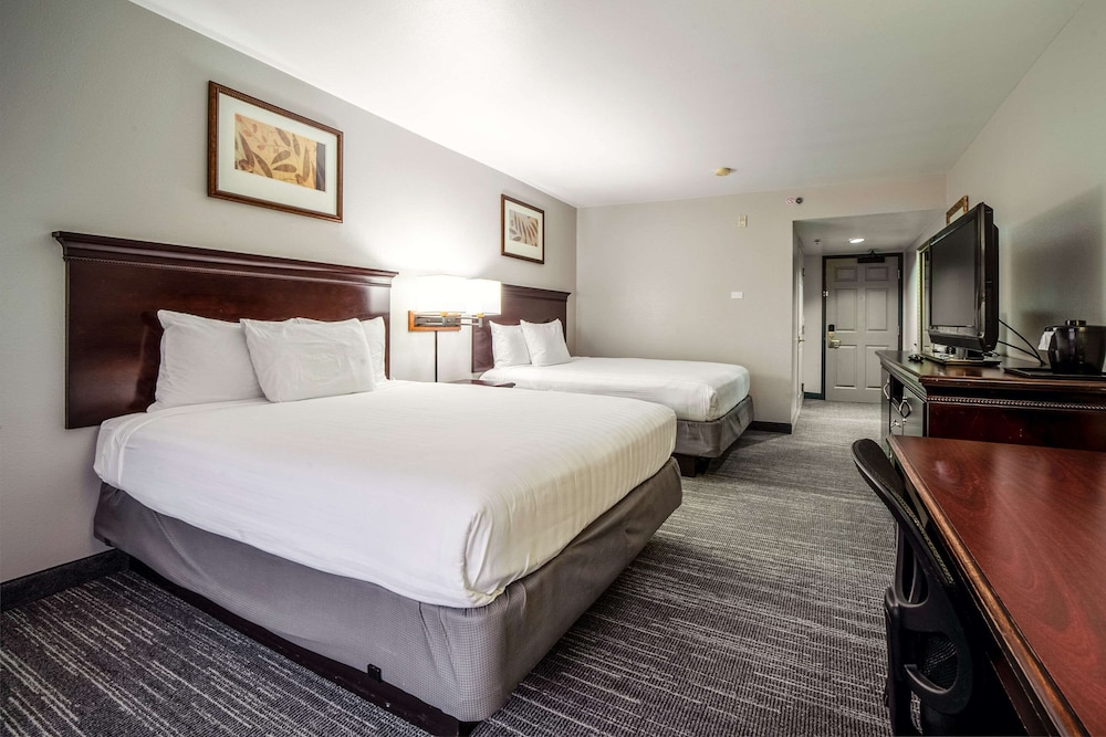 Suite, 2 Queen Beds, Non Smoking (Extended Stay) - Photo 4