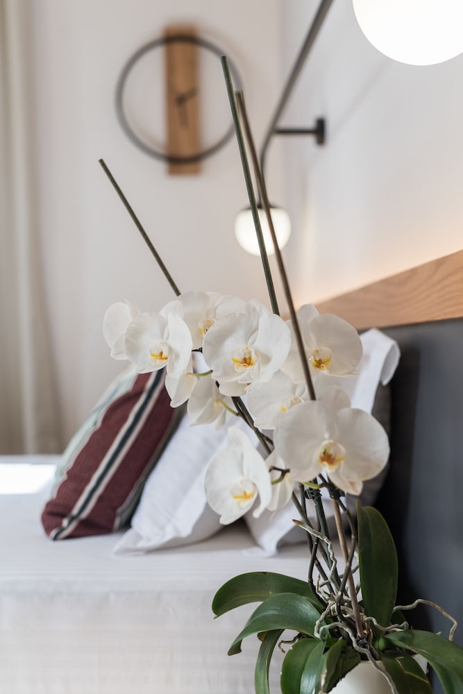 Superior Double Room, 1 Queen Bed, City View photo 2