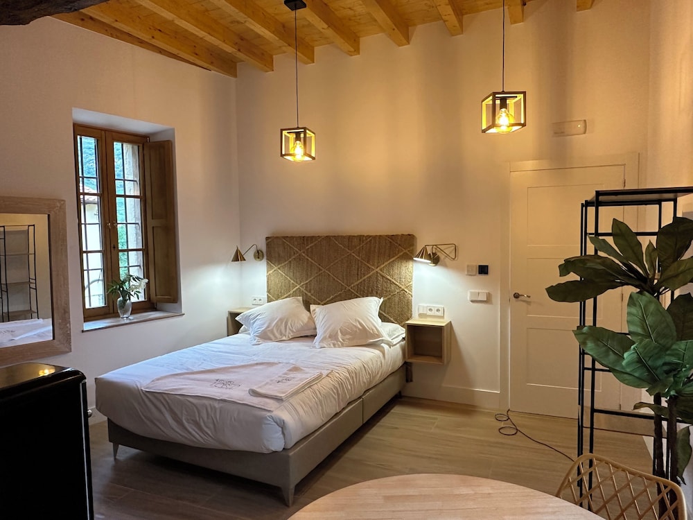 Club Studio, 1 cama doble, accesible, vista al río