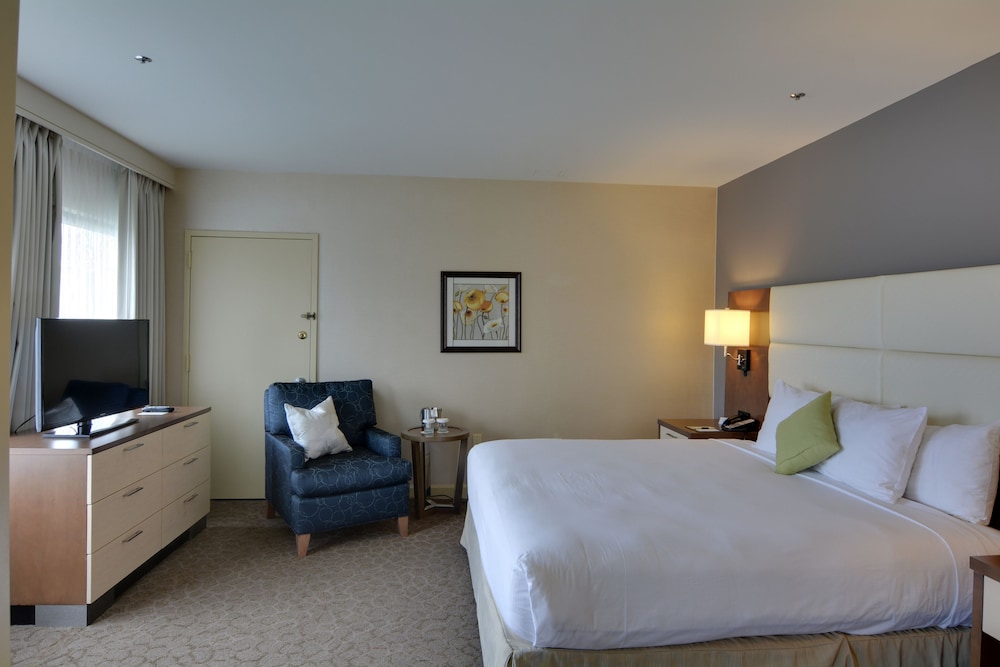 Presidential Suite, 1 King Bed with Sofa bed photo 3